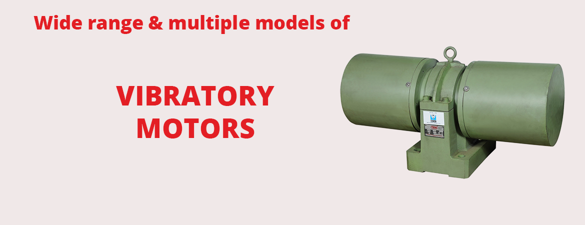 TEW Vibratory Motors